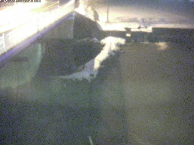 私都川４2026/02/11 3:50:00