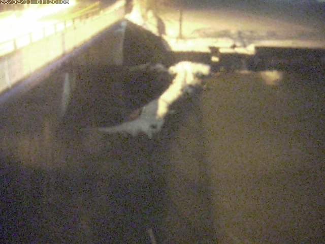 私都川４2026/02/11 3:50:00