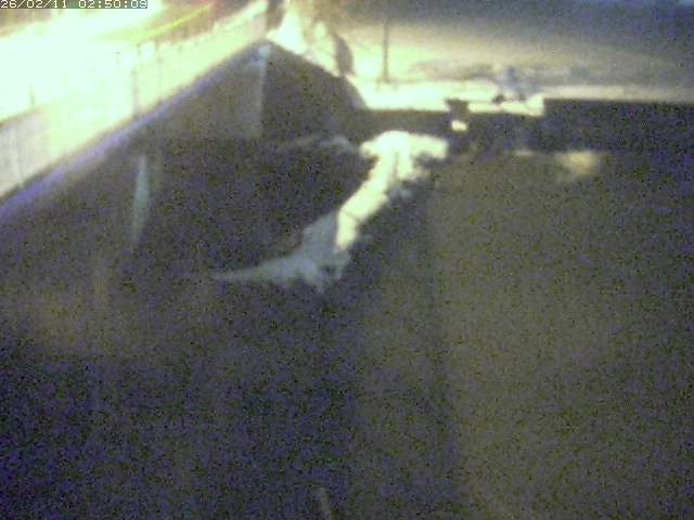 私都川４2026/02/11 3:50:00