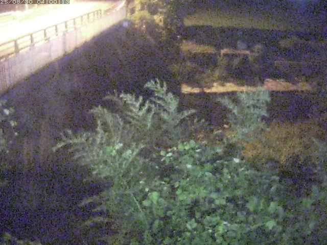 私都川４2025/08/31 0:50:00