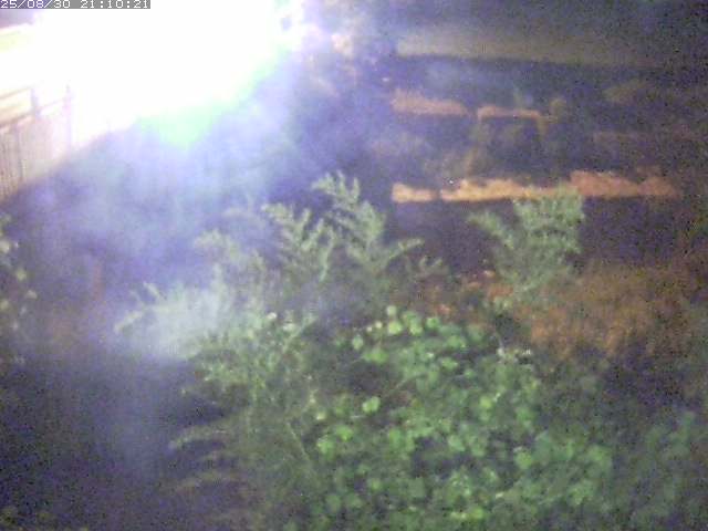私都川４2025/08/31 0:50:00