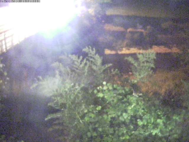 私都川４2025/08/31 0:50:00