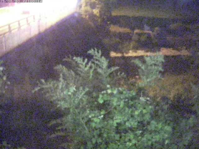 私都川４2025/08/31 0:50:00