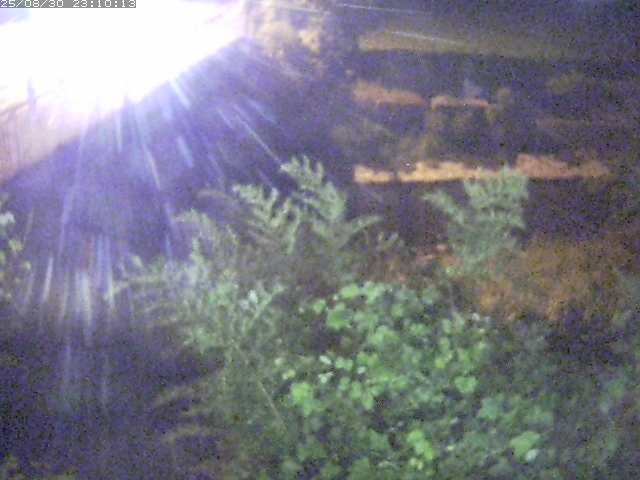 私都川４2025/08/31 0:50:00