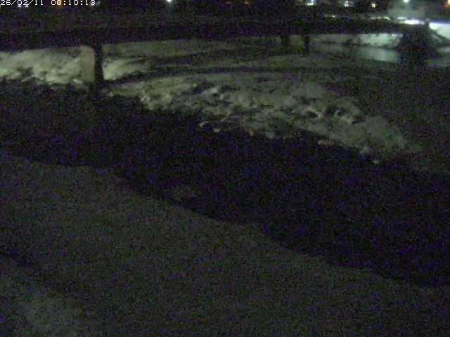 八東川５2026/02/11 3:30:00