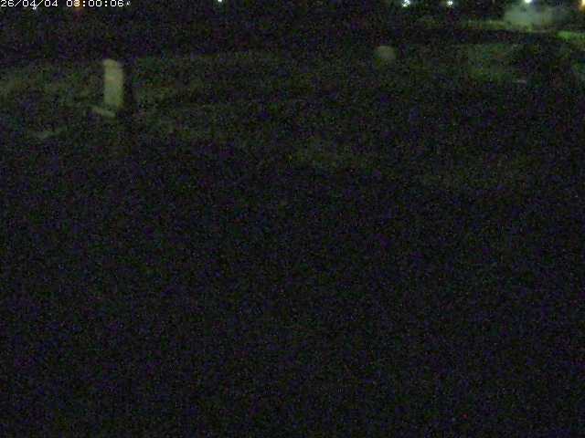 八東川５2026/04/05 3:30:00