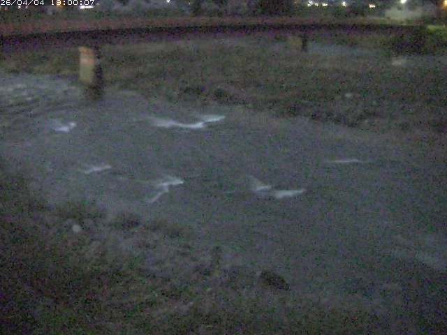 八東川５2026/04/05 3:30:00