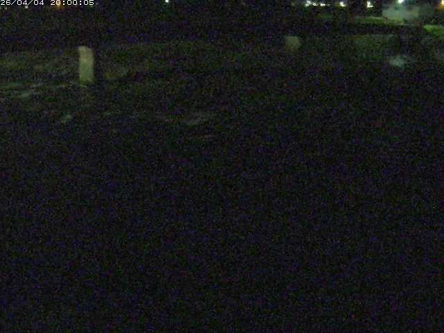 八東川５2026/04/05 3:30:00