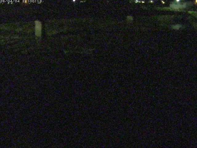 八東川５2026/04/05 3:30:00