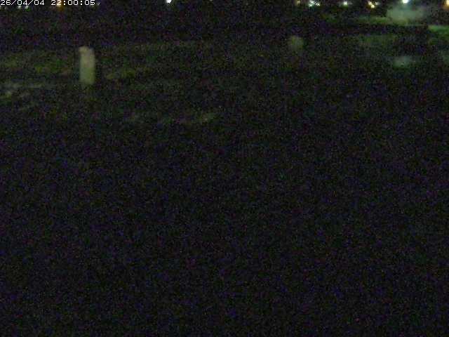 八東川５2026/04/05 3:30:00