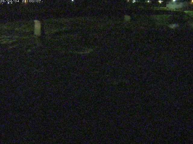 八東川５2026/04/05 3:30:00