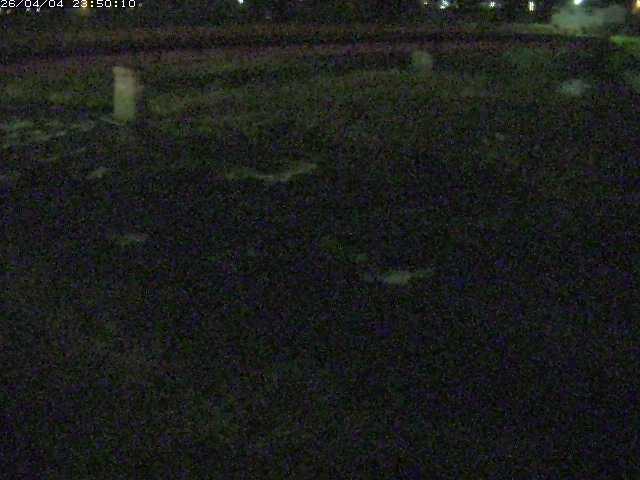 八東川５2026/04/05 3:30:00