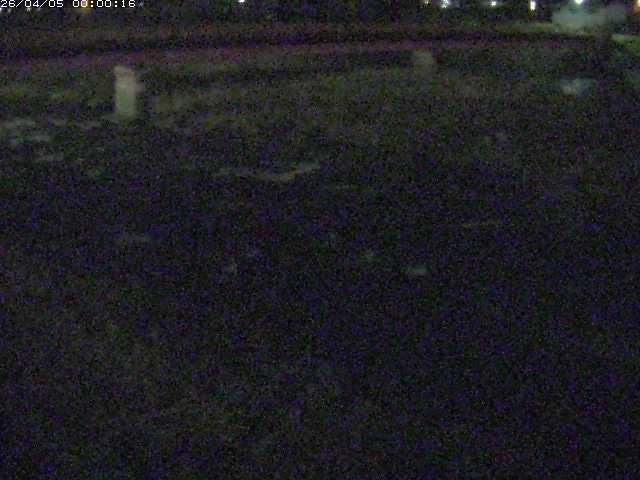 八東川５2026/04/05 3:30:00