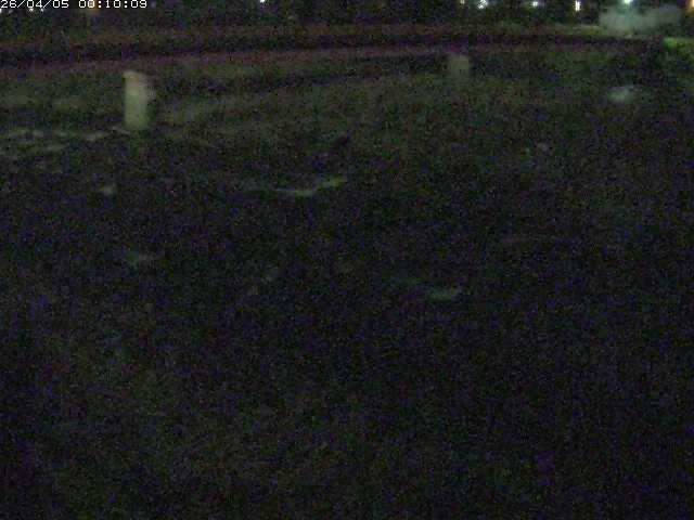 八東川５2026/04/05 3:30:00