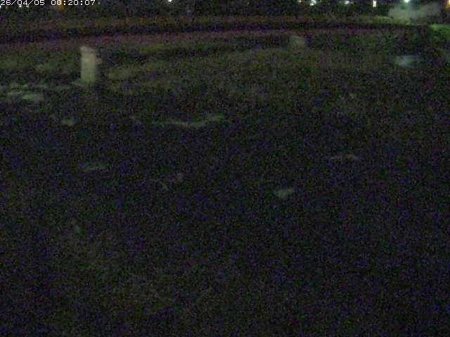 八東川５2026/04/05 3:30:00