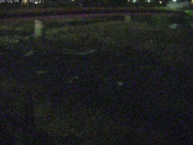 八東川５2026/04/05 3:30:00