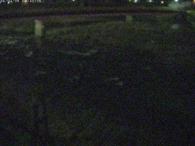 八東川５2026/04/05 3:30:00