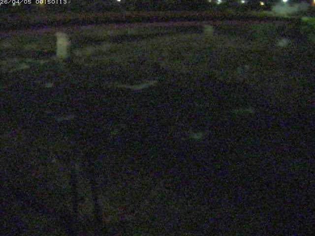 八東川５2026/04/05 3:30:00