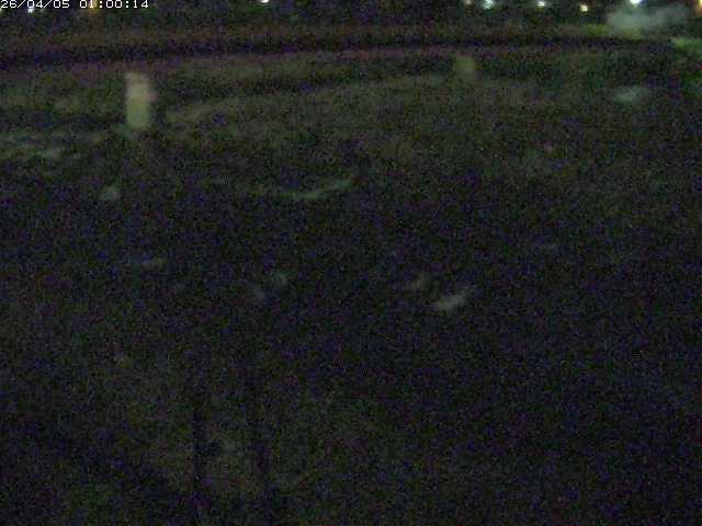 八東川５2026/04/05 3:30:00