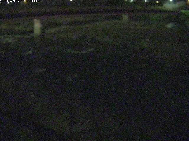 八東川５2026/04/05 3:30:00