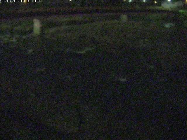 八東川５2026/04/05 3:30:00