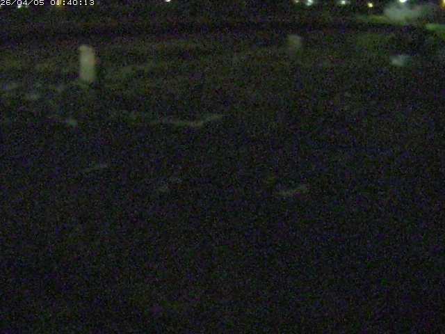 八東川５2026/04/05 3:30:00