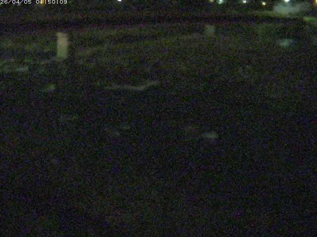 八東川５2026/04/05 3:30:00