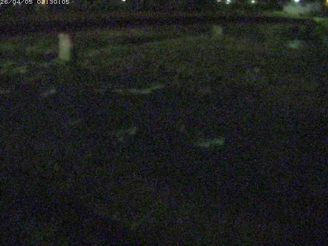 八東川５2026/04/05 3:30:00