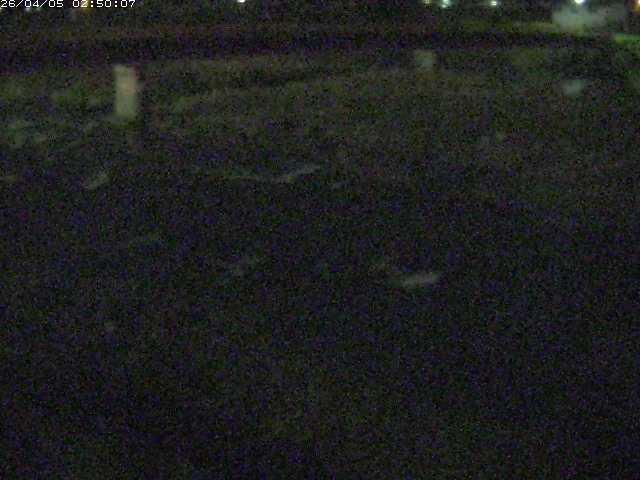 八東川５2026/04/05 3:30:00