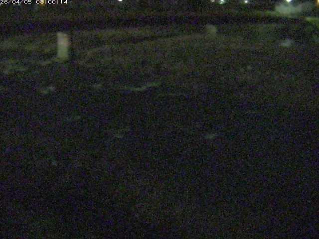 八東川５2026/04/05 3:30:00