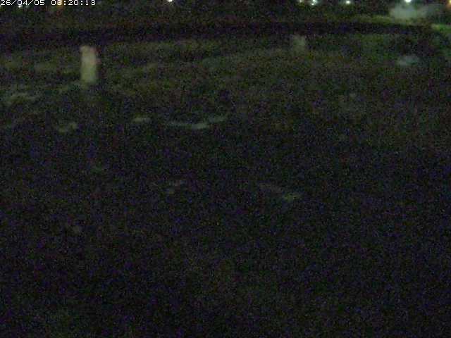 八東川５2026/04/05 3:30:00