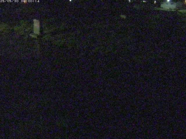 八東川５2026/05/30 3:30:00