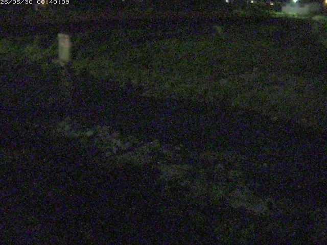八東川５2026/05/30 3:30:00