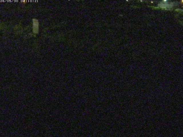 八東川５2026/05/30 3:30:00