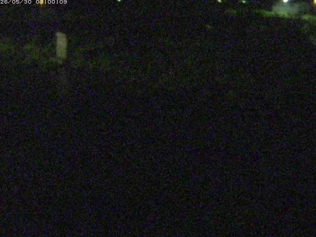 八東川５2026/05/30 3:30:00