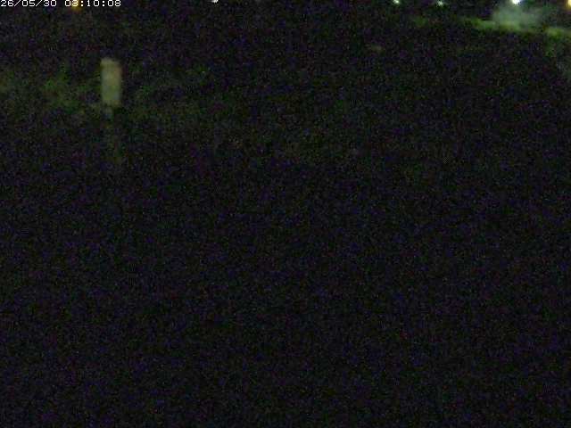 八東川５2026/05/30 3:30:00