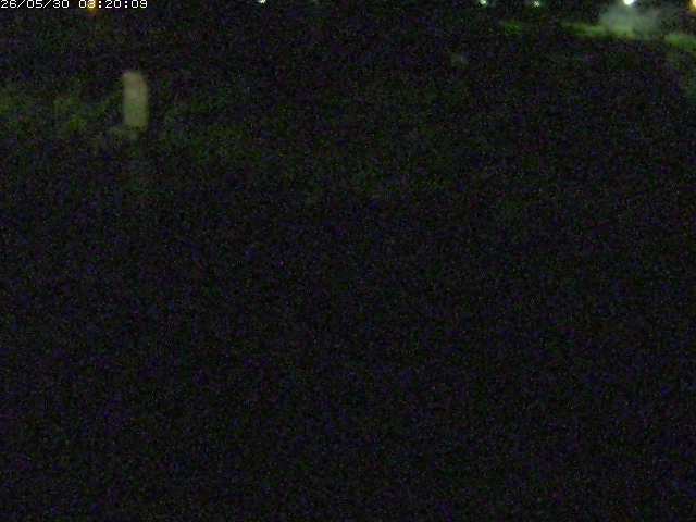 八東川５2026/05/30 3:30:00
