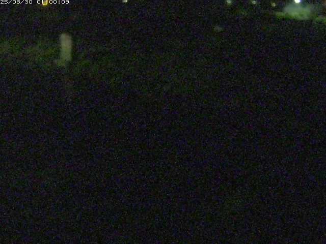 八東川５2025/08/31 0:50:00