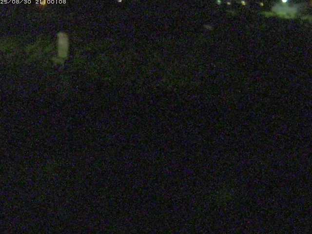 八東川５2025/08/31 0:50:00