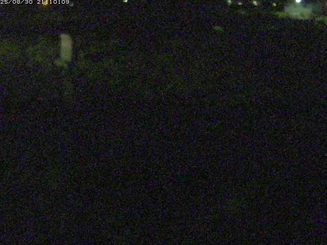 八東川５2025/08/31 0:50:00