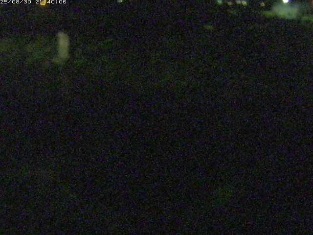 八東川５2025/08/31 0:50:00