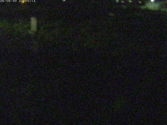 八東川５2025/08/31 0:50:00