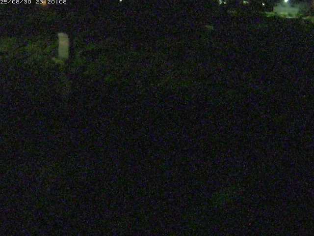 八東川５2025/08/31 0:50:00