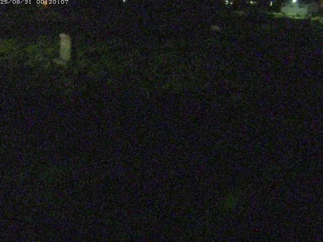 八東川５2025/08/31 0:50:00