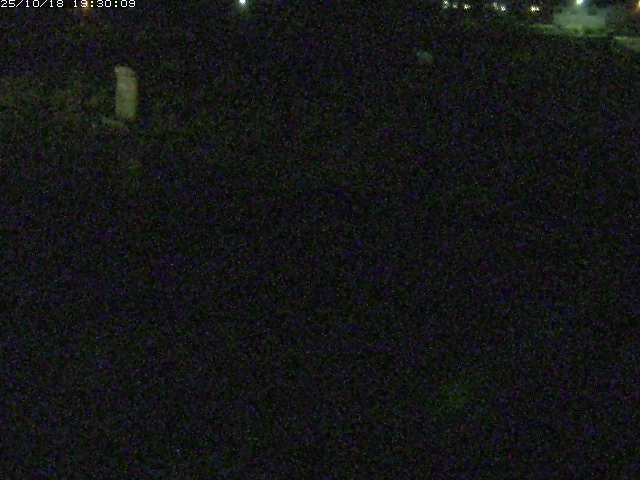 八東川５2025/10/18 20:20:00