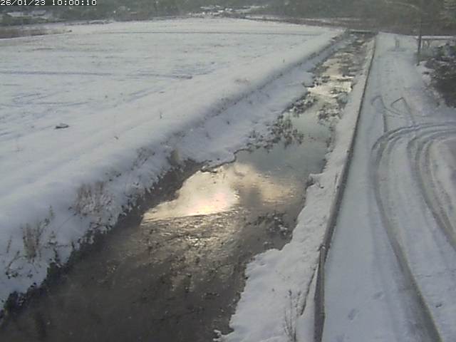 円城寺川１2026/01/24 2:40:00