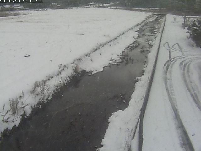 円城寺川１2026/01/24 2:40:00