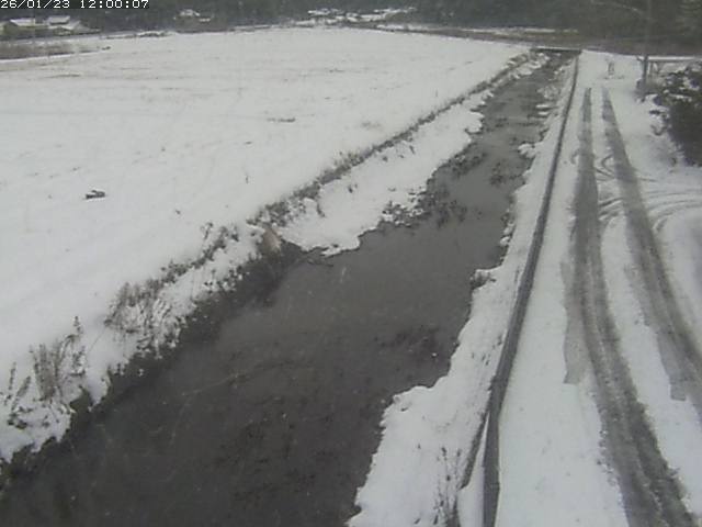 円城寺川１2026/01/24 2:40:00