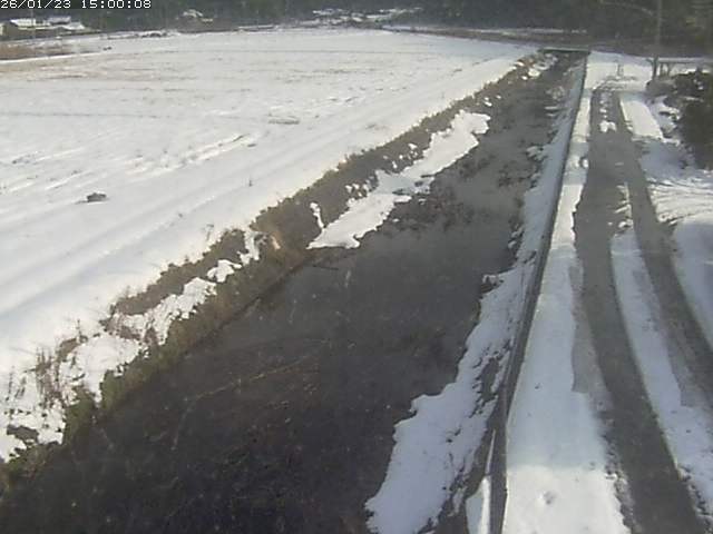 円城寺川１2026/01/24 2:40:00