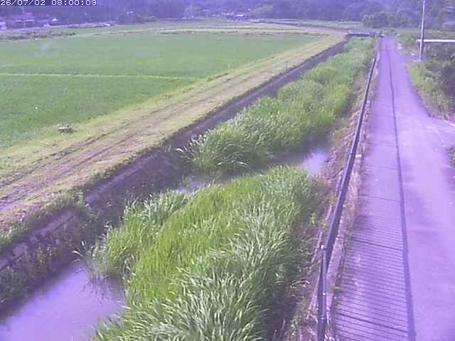 円城寺川１2026/07/03 8:30:00